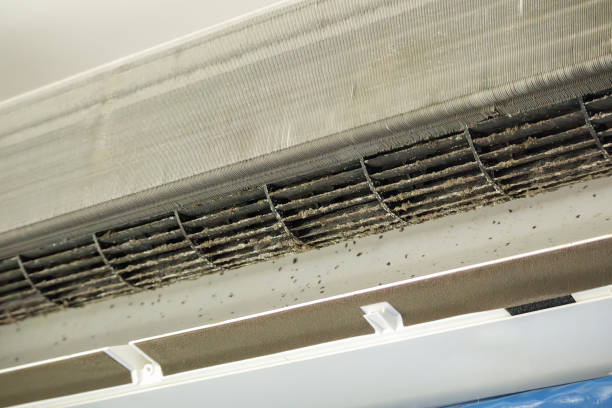 Best Duct Cleaning Specialists  in Wye, MT